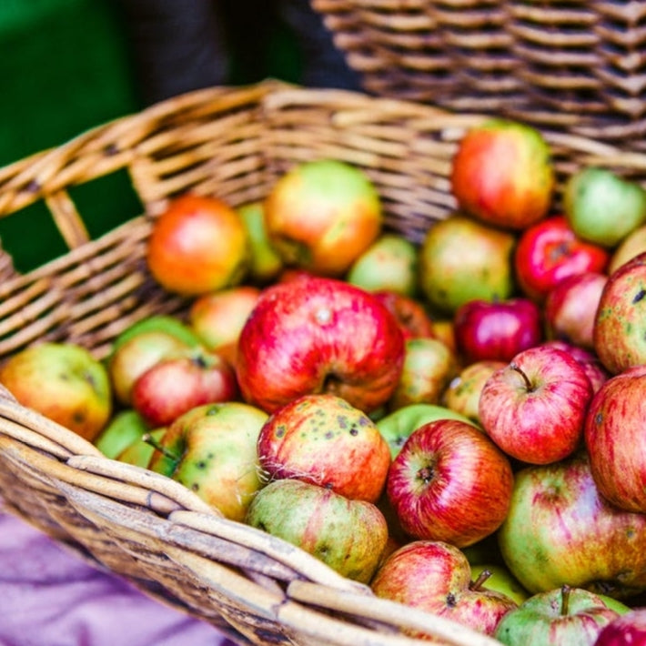 apple cider produce